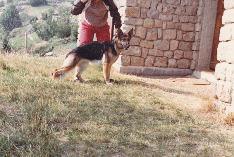 Prunelle du chalet des champs