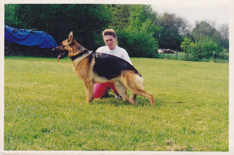 Murdock des Monts de Thuringe