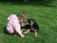 CHIOT