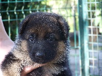 Floyd 