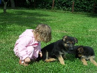 CHIOT